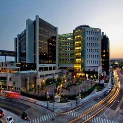 HL Construction Management